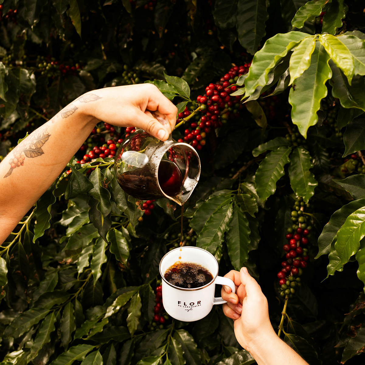 Learning to Drink What You Grow