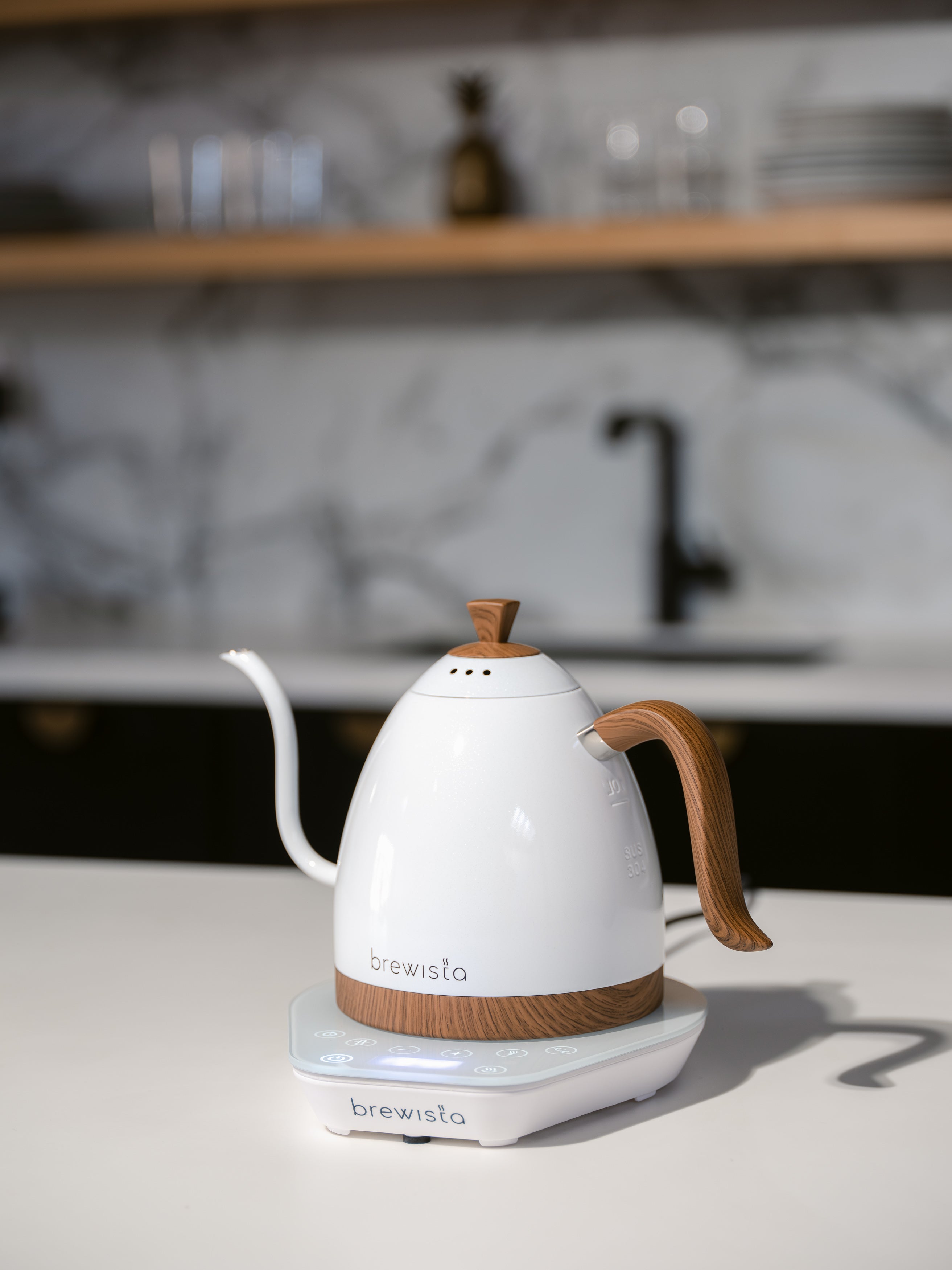 Brewista Artisan 1L Electric Kettle