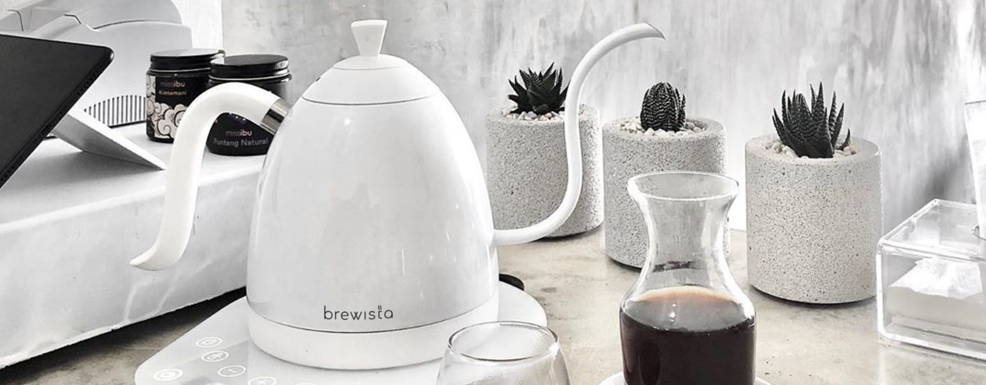 Precision Gooseneck Kettle | Brewista Artisan, 1 L