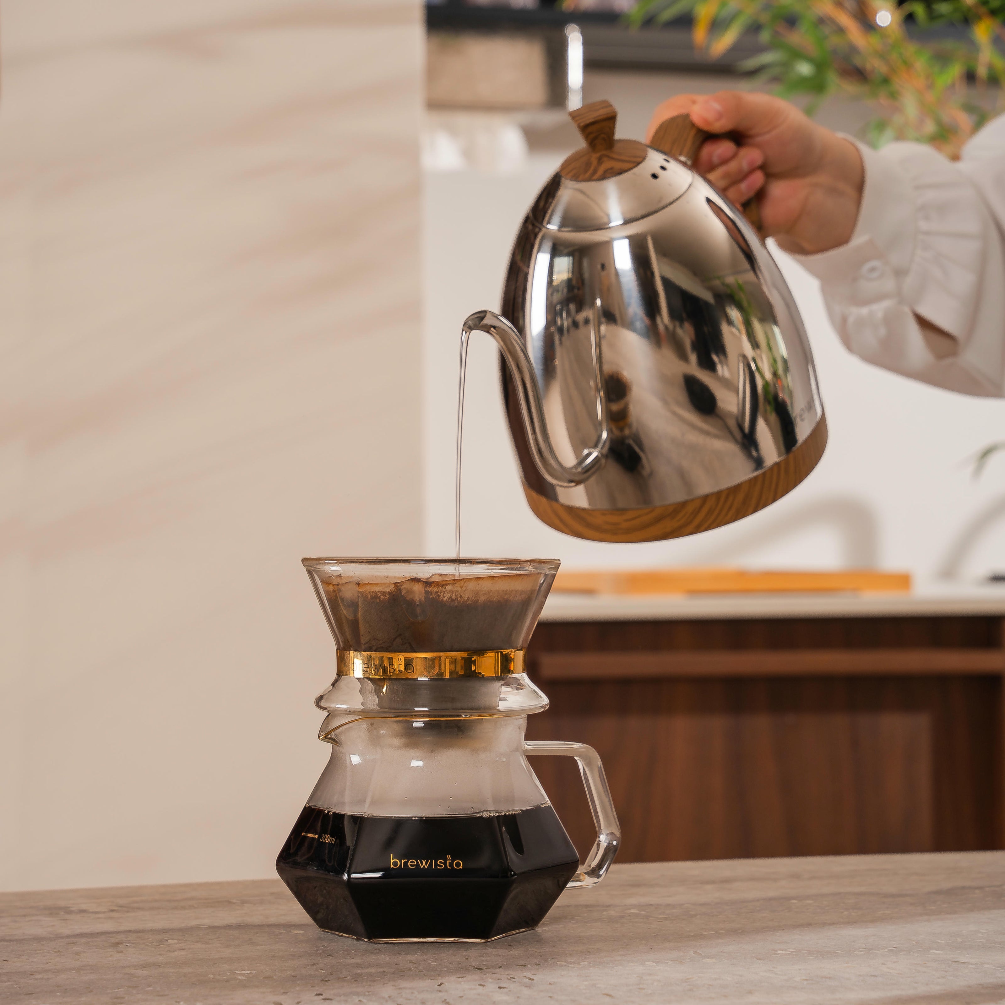 Brewista Artisan Gooseneck 1 L Kettle w/ Variable Temperature