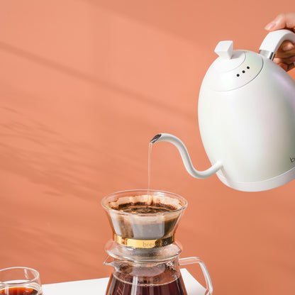 Brewista Artisan Gooseneck 1 L Kettle w/ Variable Temperature