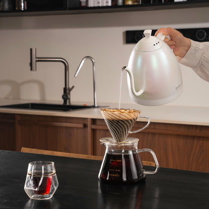 Brewista Artisan Gooseneck 1 L Kettle w/ Variable Temperature