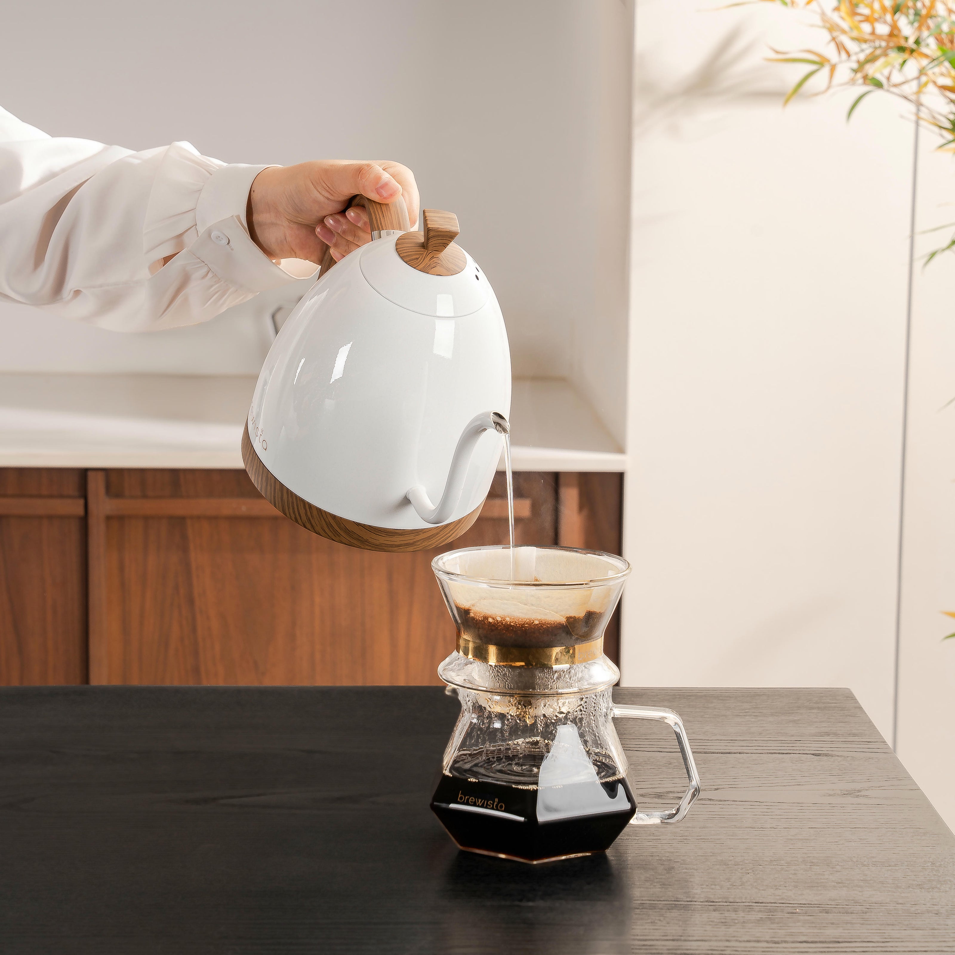 Brewista Artisan Gooseneck 1 L Kettle w/ Variable Temperature